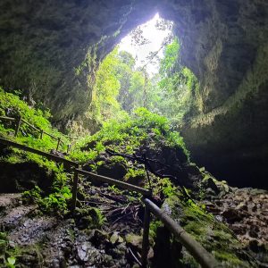 Tour Cueva del Tigre