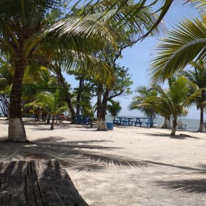 Tour Playa Blanca & 7 Altares